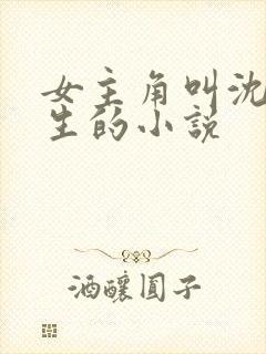 女主角叫沈念重生的小说