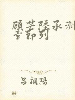 顾芒陆承洲最新章节列