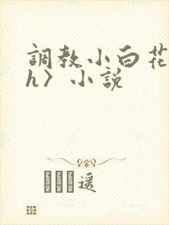 调教小白花〈高h〉小说