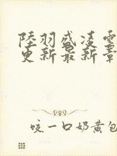 陆羽盛凌云今天更新最新章节