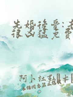 先婚后爱:老公很凶猛免费阅读全文全文