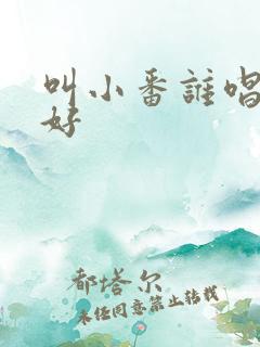 叫小番谁唱的最好