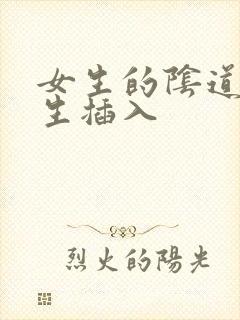 女生的阴道被男生插入