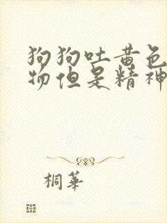 狗狗吐黄色粘稠物但是精神好