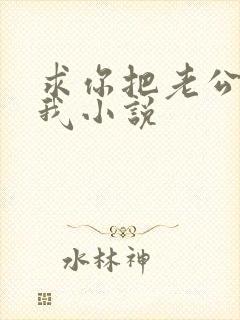 求你把老公还给我小说