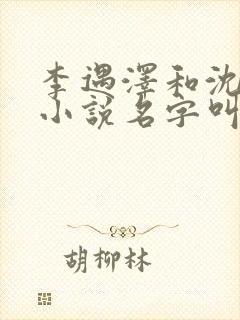 李遇泽和沈见青小说名字叫什么