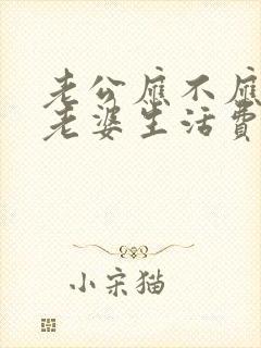 老公应不应该给老婆生活费