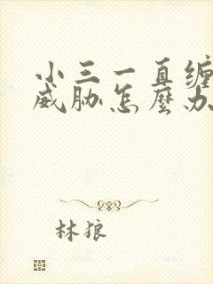 小三一直缠着并威胁怎么办