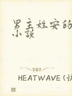 男主姓安的总裁小说