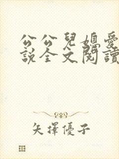 公公儿媳爱你小说全文阅读