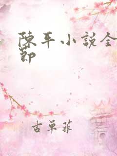 陈平小说全部章节