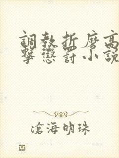 调教折磨高潮电击惩罚小说