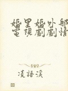 婚里婚外那些事电视剧剧情