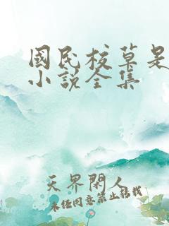 国民校草是女生小说全集