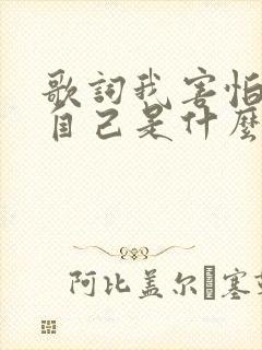 歌词我害怕面对自己是什么歌