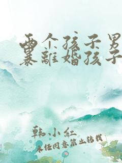 两个孩子男方家暴离婚孩子归谁