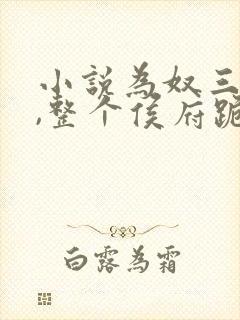 小说为奴三年后,整个侯府跪求我原谅