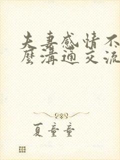 夫妻感情不好怎么沟通交流