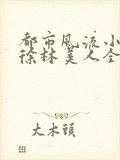 都市风流小说小徐林美人全文阅读