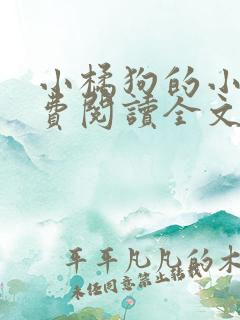 小橘狗的小说免费阅读全文无弹窗