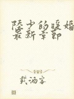 陆少的暖婚新妻最新章节