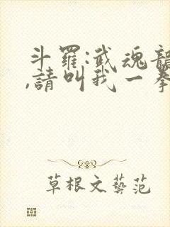 斗罗:武魂龙拳,请叫我一拳斗罗笔趣阁