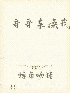 哥哥来操我啊