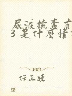 尿液检查有隐血3 是什么情况