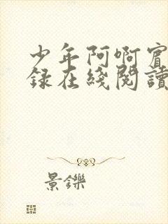 少年阿啊宾文目录在线阅读