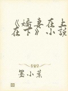 《娇妻在上总裁在下》小说