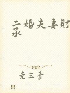 二婚夫妻财产继承