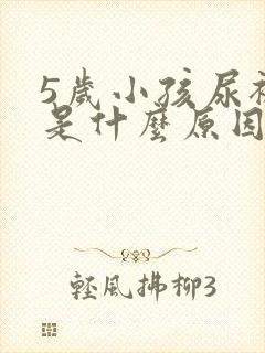 5岁小孩尿裤子是什么原因造成的