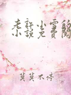 老许小雪的婚俗小说免费阅读