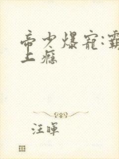 帝少爆宠:霸妻上瘾