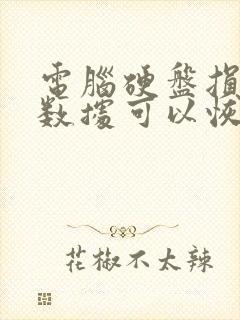 电脑硬盘损坏了数据可以恢复吗