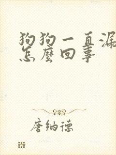 狗狗一直漏尿是怎么回事