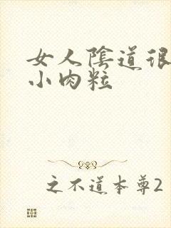 女人阴道很痒有小肉粒