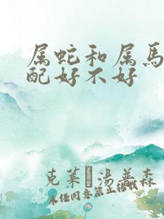 属蛇和属马的婚配好不好