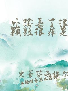 外阴长了很多小颗粒很痒是怎么回事