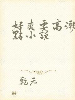 好爽要高潮了深点小说