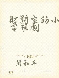 财阀家的小儿子电视剧