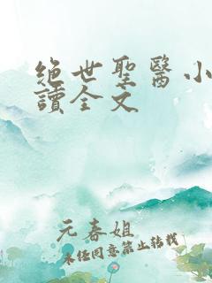 绝世圣医小说阅读全文