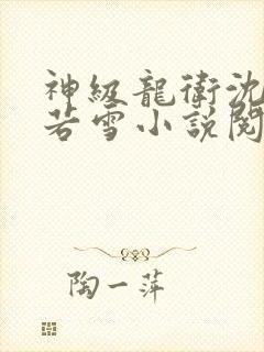 神级龙卫沈浪苏若雪小说阅读