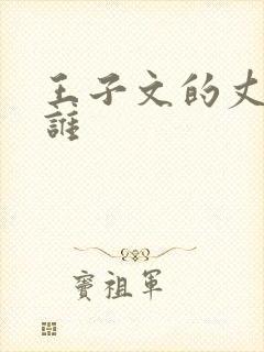 王子文的丈夫是谁