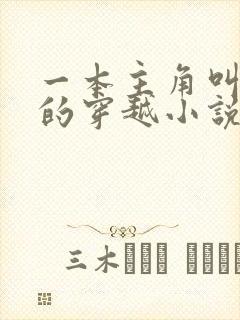 一本主角叫金锋的穿越小说