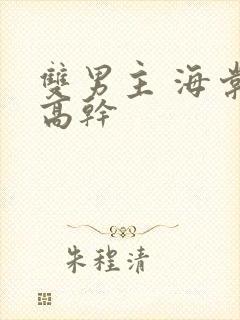 双男主 海棠 高干