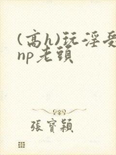 (高h)玩淫受np老头