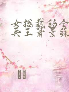 女总裁的全能型兵王萧晨苏晴