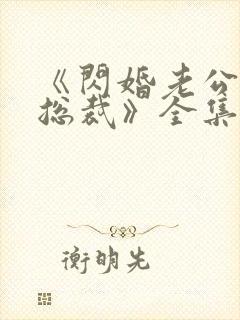 《闪婚老公竟是总裁》全集