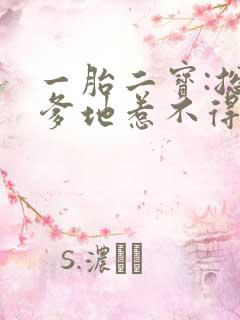 一胎二宝:总裁爹地惹不得